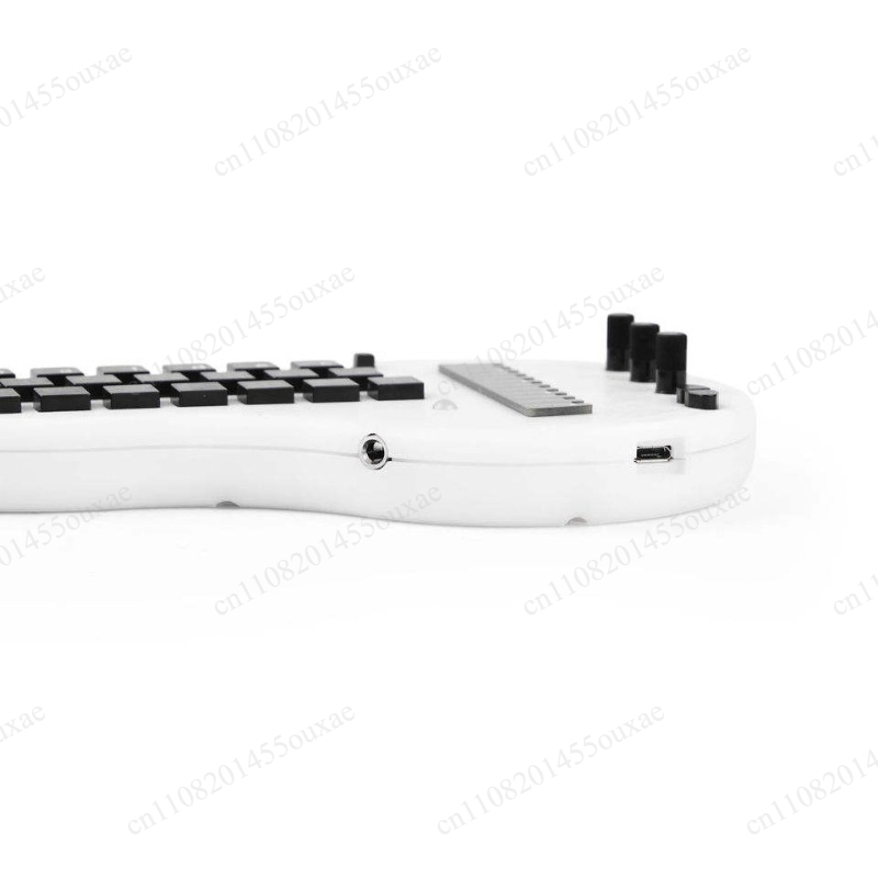Open Source Minichord Synthesi - đánh giá và giá Musical Instrument Synthesizer