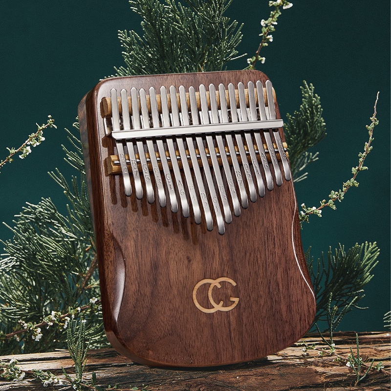 17 21 Phím Ngón Tay Cái Đàn Pi - đánh giá và giá A Musical Instrument With Keys