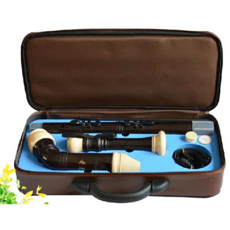 Professional 8 Holes Baroque B - đánh giá và giá Musical Instrument A Recorder