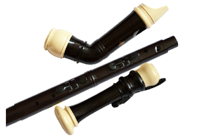 Professional 8 Holes Baroque B - đánh giá và giá Musical Instrument A Recorder