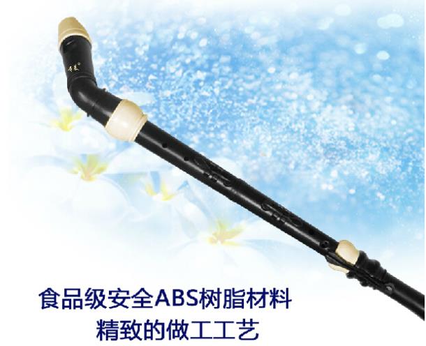 Professional 8 Holes Baroque B - đánh giá và giá Musical Instrument A Recorder