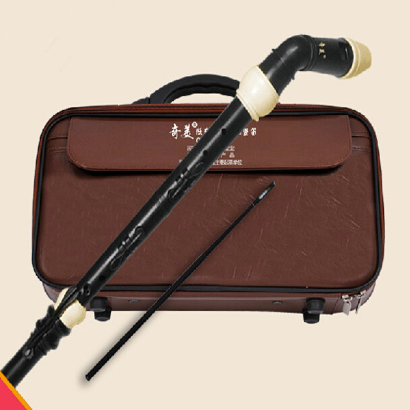 Professional 8 Holes Baroque B - đánh giá và giá Musical Instrument A Recorder